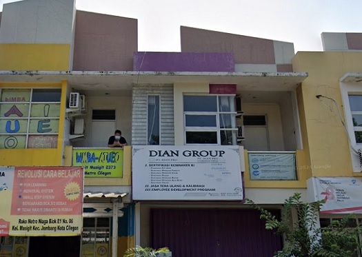 dian-pro-consulting